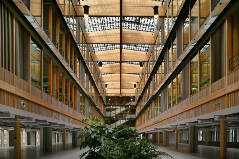 bureau_étude_ bois_timber_wood_engineering_ CLT_Cross laminated timber_GLT_Bois lamellé collé_ossature bois_lamibois_LVL_Glulam_stabilité_bureau d'étude structure_ingénieur bois_résille_treillis_panneau_circularité_bas carbone_poutre_colonne_école en structure bois_bureau en structure bois_crèche en bois_ batiment bois_RT2020_ European green deal_calcul d'assemblage bois_cadwork_étude d'exécution_calcul