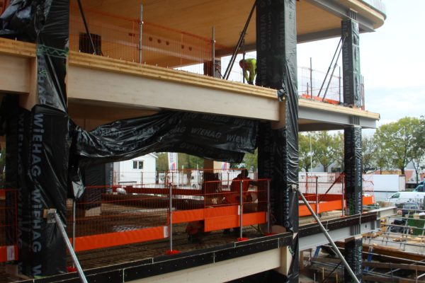 bureau_étude_ bois_timber_wood_engineering_ CLT_Cross laminated timber_GLT_Bois lamellé collé_ossature bois_lamibois_LVL_Glulam_stabilité_bureau d'étude structure_ingénieur bois_résille_treillis_panneau_circularité_bas carbone_poutre_colonne_école en structure bois_bureau en structure bois_crèche en bois_ batiment bois_RT2020_ European green deal_calcul d'assemblage bois_cadwork_étude d'exécution_calcul