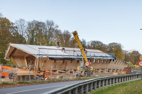 231115 15h48 NEY TERVUEREN P3 R51 0305 X 5000