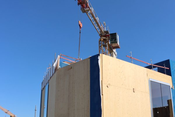 bureau_étude_ bois_timber_wood_engineering_GLT_Bois lamellé collé_Glulam_stabilité_bureau d'étude structure_ingénieur bois_circularité_bas carbone_calcul d'assemblage bois_étude d'exécution_calcul