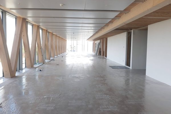 MicrosoftTeams Image (14)