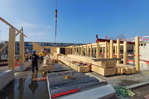 bureau_étude_ bois_timber_wood_engineering_ CLT_Cross laminated timber_GLT_Bois lamellé collé_ossature bois_lamibois_LVL_Glulam_stabilité_bureau d'étude structure_ingénieur bois_résille_treillis_panneau_circularité_bas carbone_poutre_colonne_école en structure bois_bureau en structure bois_crèche en bois_ batiment bois_RT2020_ European green deal_calcul d'assemblage bois_cadwork_étude d'exécution_calcul