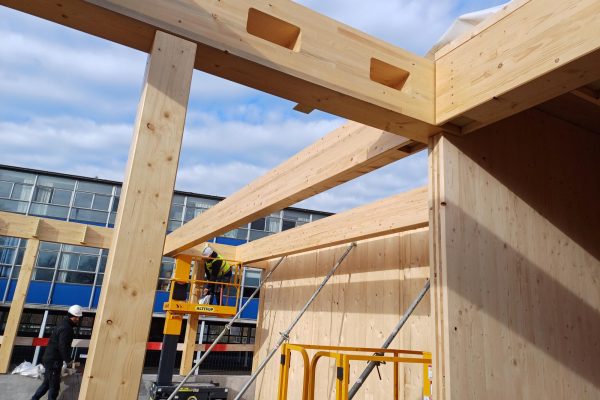 bureau_étude_ bois_timber_wood_engineering_ CLT_Cross laminated timber_GLT_Bois lamellé collé_ossature bois_lamibois_LVL_Glulam_stabilité_bureau d'étude structure_ingénieur bois_résille_treillis_panneau_circularité_bas carbone_poutre_colonne_école en structure bois_bureau en structure bois_crèche en bois_ batiment bois_RT2020_ European green deal_calcul d'assemblage bois_cadwork_étude d'exécution_calcul